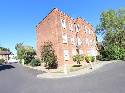 Picture 20